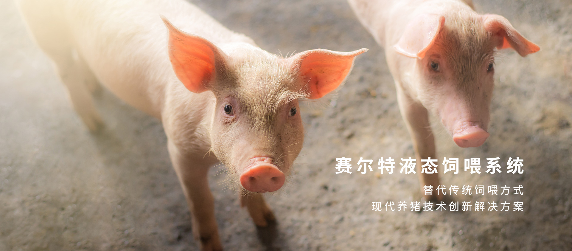 老子有钱lzyq88自动化