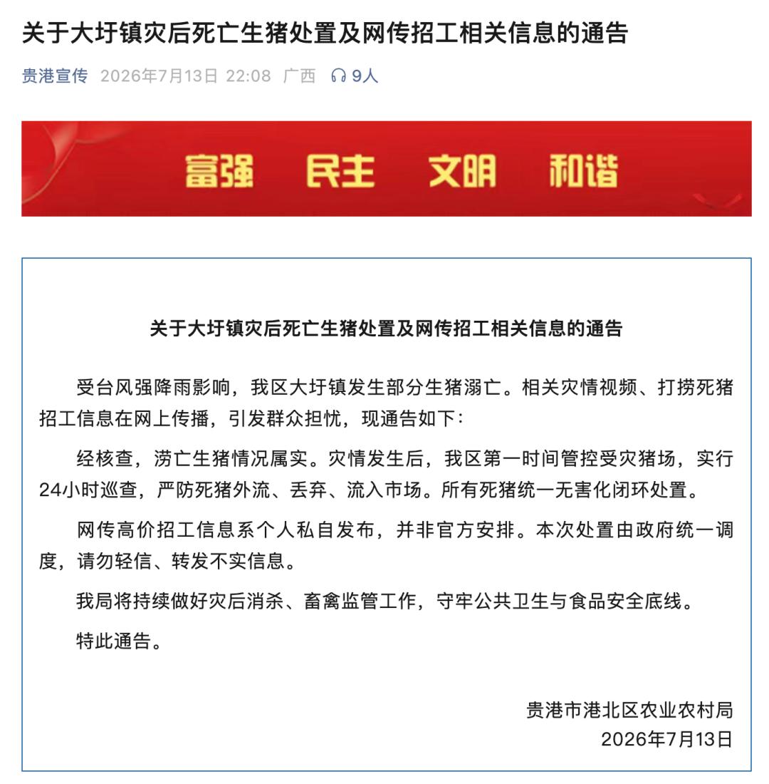 死猪措置